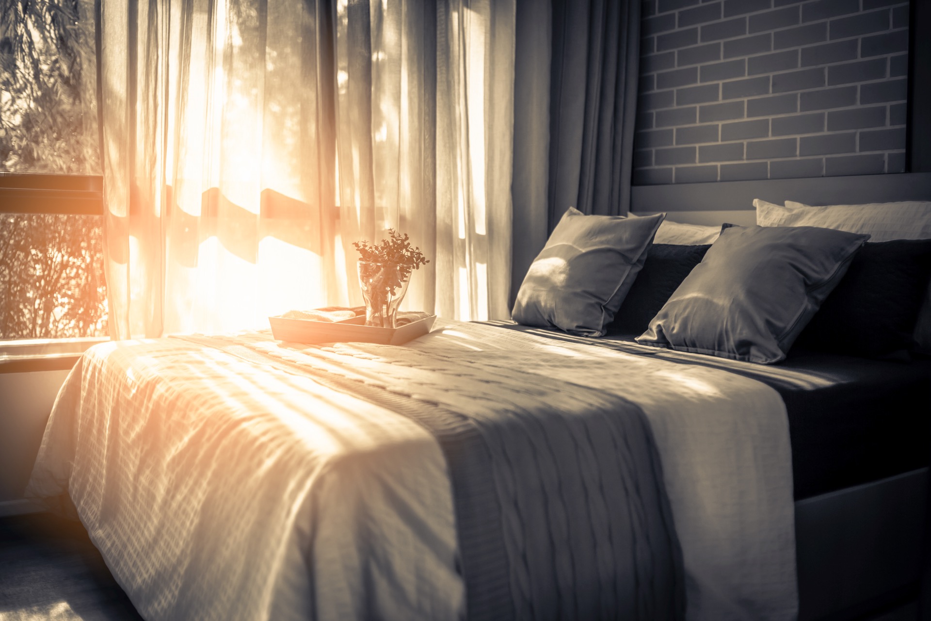 Morning light across bed